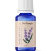 Lavender Essential Oil